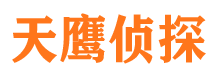 宁阳侦探公司